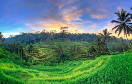 bali4